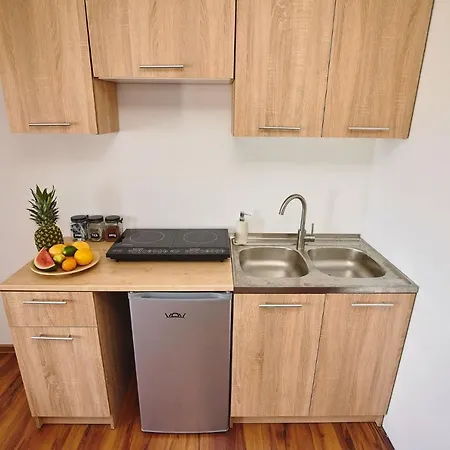 Regem Warynskiego Appartement *