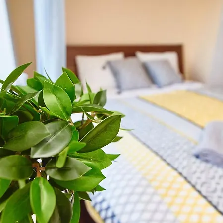 Regem Warynskiego Apartment